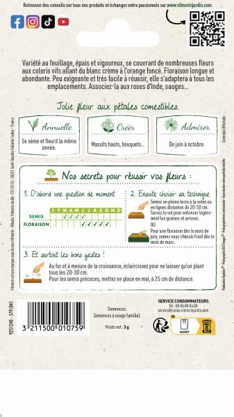 Fleurs - Souci Double Varié - MEDIA_PACKAGING_VERSO